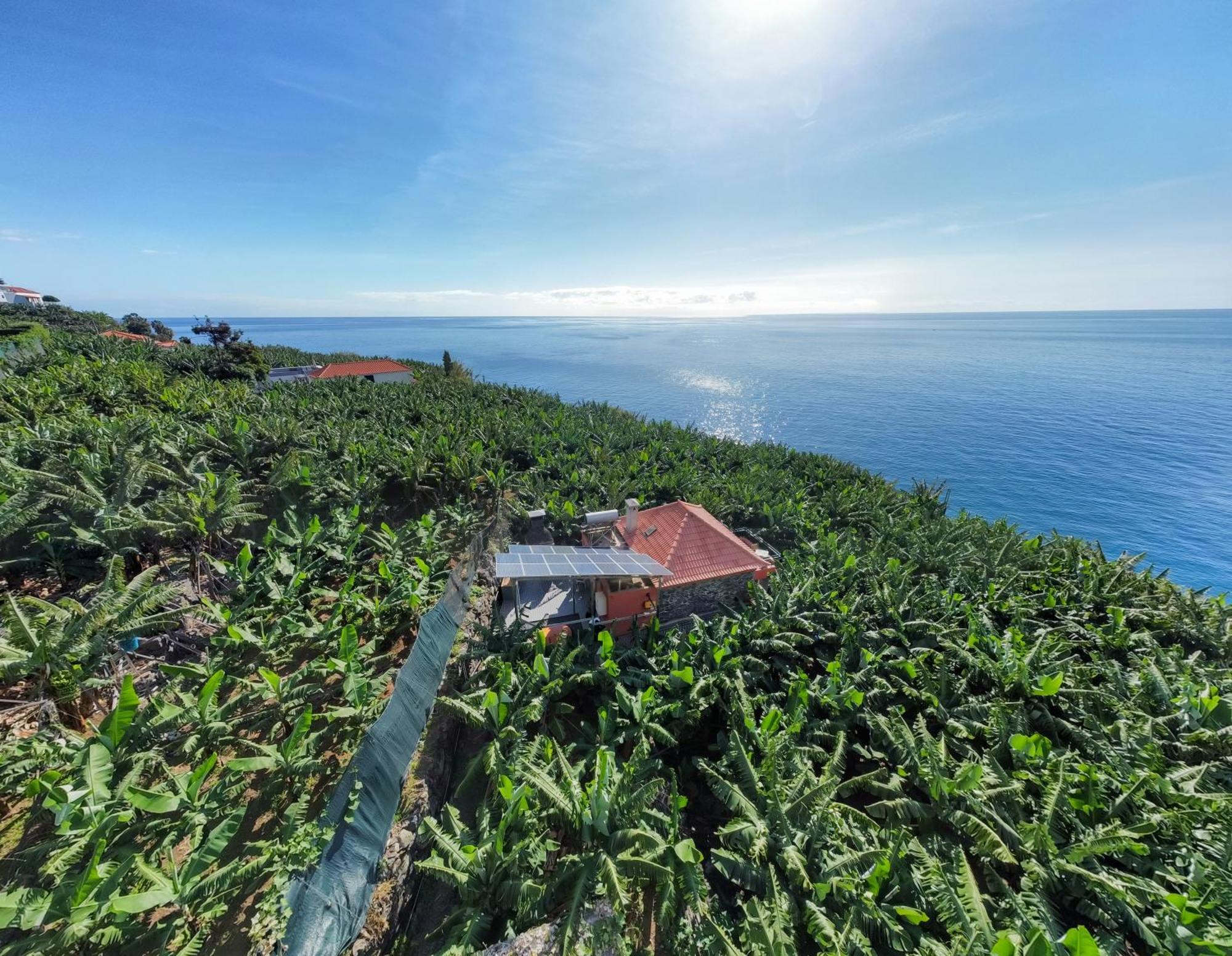Casa Dos Anjos Villa Ponta do Sol  Buitenkant foto